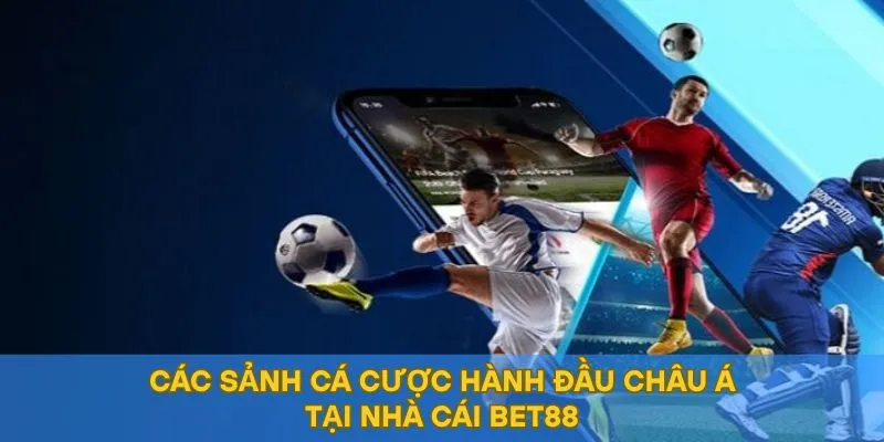 Các sảnh cá cược hành đầu Châu Á tại nhà cái BET88