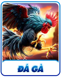 Đá Gà