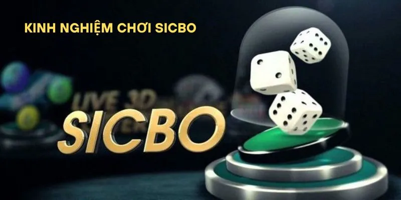 Kinh Nghiệm Chơi Sicbo – Chiến Thuật Thực Chiến Dễ Áp Dụng