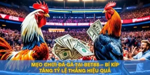 Mẹo Chơi Đá Gà Tại BET88 – Bí Kíp Tăng Tỷ Lệ Thắng Hiệu Quả