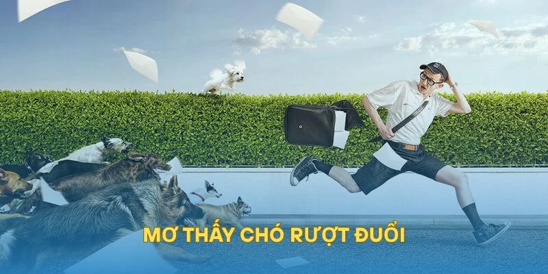 Mơ thấy chó rượt đuổi