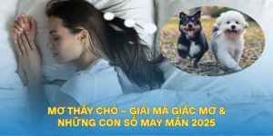 Mơ Thấy Chó – Giải Mã Giấc Mơ & Những Con Số May Mắn 2025