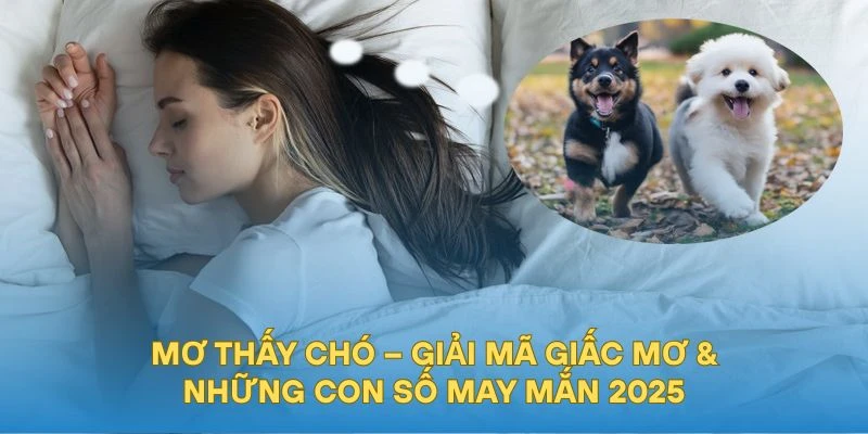 Mơ Thấy Chó – Giải Mã Giấc Mơ & Những Con Số May Mắn 2025