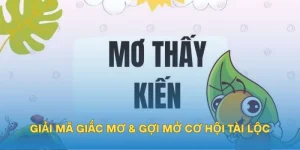Mơ Thấy Kiến – Giải Mã Giấc Mơ & Gợi Mở Cơ Hội Tài Lộc