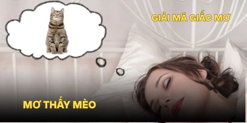 Mơ Thấy Mèo Là Điềm Gì? Giải Mã Ý Nghĩa Và Con Số May Mắn