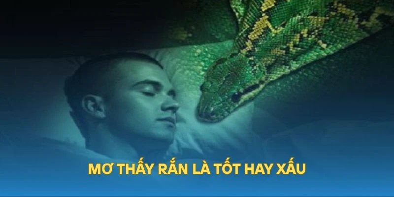 Mơ thấy rắn tốt hay xấu